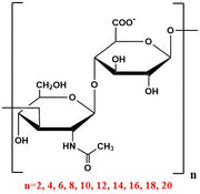 Hyaluronic Acid Oligomer