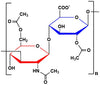 Acetylated Hyaluronate, MW 25 kDa