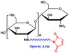 Chitosan Maleimide, MW 10 kDa