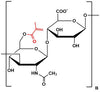 Hyaluronate Methacrylate 60%, MW 1000k
