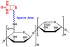 Alginate Biotin, viscosity 600-900 cP