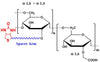 Carboxymethyl Dextran Biotin, MW 150 kDa