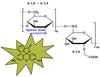 Carboxymethyl Dextran Fluorescein, MW 40 kDa