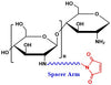 Chitosan Maleimide, MW 100 kDa