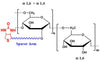 Dextran Biotin, MW 2,000 kDa