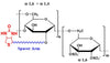 Dextran Sulfate Biotin, MW 20 kDa
