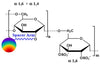 Dextran Sulfate DyLight®, MW 5-500 kDa