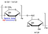 Dextran Thiol, MW 250k