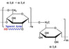 Dextran Thiol 30-50%, MW 5-2000 kDa