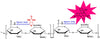 Biotinylated Heparin Rhodamine