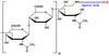 Hyaluronate Mono Azide, MW 50 kDa