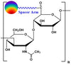 Hyaluronate DyLight®, MW 750 kDa
