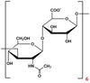 Oligomer HA6