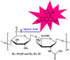 Chondroitin Sulfate C Rhodamine, MW 32 kDa