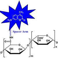 Alginate-CyDye, viscosity 100-300 cP