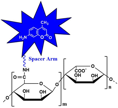 Alginate-CyDye, viscosity 100-300 cP