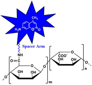 Alginate-CyDye, viscosity 100-300 cP