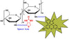 Biotin-Chitosan-Fluorescein, MW 2 kDa