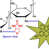 Biotin-Chitosan-Fluorescein, MW 2 kDa