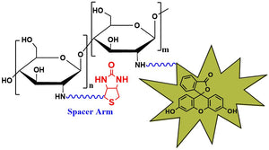 Biotin-Chitosan-Fluorescein, MW 2 kDa