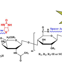 Biotin-Chondroitin Sulfate-Fluorescein, MW 50 kDa