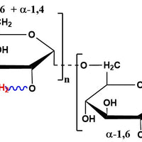 Dextran Sulfate Amine, MW 5 kDa