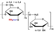 Dextran Sulfate Amine, MW 5-500 kDa