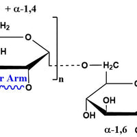 Dextran Amine, MW 500 kDa