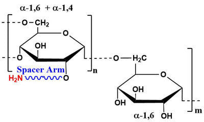 Dextran Amine, MW 5 kDa