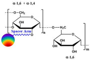 Fluorescent Dextran, MW 90 kDa