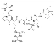 Gelatin Methacrylate