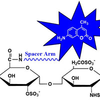 Heparin CyDye