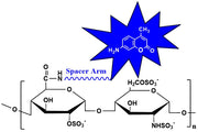 Heparin CyDye