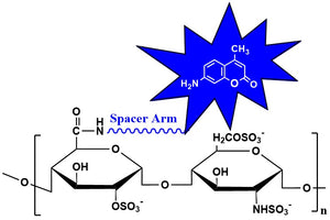 Heparin CyDye