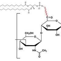Hyaluronate Lipid, MW 10 kDa
