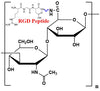 Hyaluronate RGD, MW 5 kDa