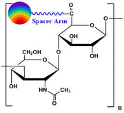 Hyaluronate DyLight® 650, MW 1,500 kDa