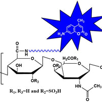 Chondroitin Sulfate Cydye, MW 50 kDa