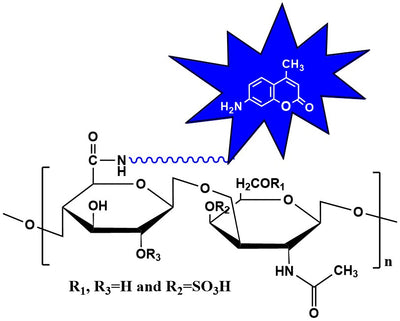 Chondroitin Sulfate B Cydye, MW 25 kDa