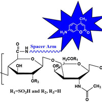 Chondroitin Sulfate C Cydye, MW 32 kDa