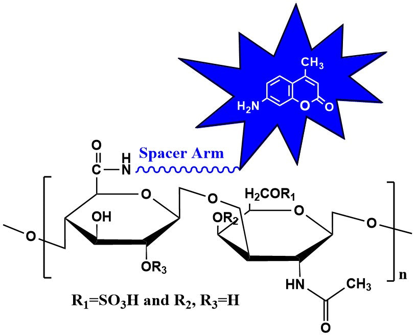 Chondroitin Sulfate C Cydye, MW 32 kDa