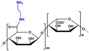 Alginate Amine, viscosity 600-900 cP