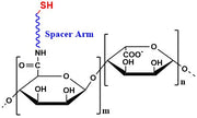 Alginate Thiol, viscosity 600-900 cP