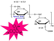 Carboxymethyl Dextran Rhodamine, MW 70 kDa