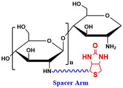 Chitosan Biotin, MW 2 kDa