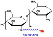 Chitosan Thiol, MW 100 kDa