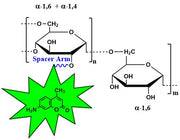 Dextran AMCA, MW 150 kDa