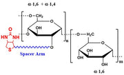 Dextran Biotin, MW 500 kDa