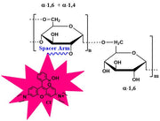 Dextran Rhodamine, MW 1,000 kDa