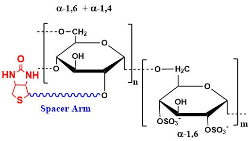 Dextran Sulfate Biotin, MW 500 kDa